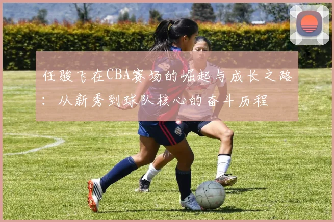 任骏飞在CBA赛场的崛起与成长之路：从新秀到球队核心的奋斗历程