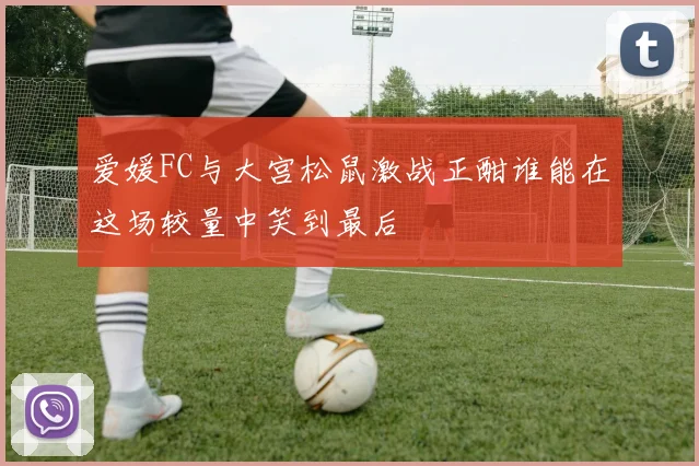 爱媛FC与大宫松鼠激战正酣谁能在这场较量中笑到最后