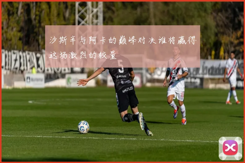 沙斯辛与阿卡的巅峰对决谁将赢得这场激烈的较量